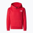Hanorac pentru copii The North Face Teen Simple Dome Hoodie hibiscus