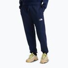 Pantaloni de trekking pentru bărbați The North Face Simple Dome Light Regular Tapered Jogger summit navy