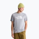 Tricou pentru bărbați The North Face Evolution Half Dome tnf pale grey heather