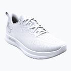 Pantofi de alergare bărbați Under Armour Velociti 4 alb/alb/alb