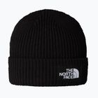 Căciulă de iarnă pentru copii The North Face Salty Lined