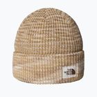 Căciulă de iarnă The North Face Salty Bae Lined