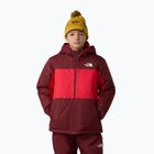 Geacă de schi pentru copii The North Face Freedom Insulated sumac/ red