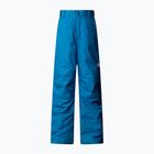 Pantaloni de schi pentru copii The North Face Freedom Insulated dusk blue
