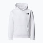 Hanorac pentru copii The North Face Teen Redbox Regular P/O alb/negru