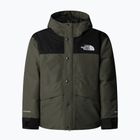 Geacă de ploaie pentru copii The North Face Mountain Down new taupe green
