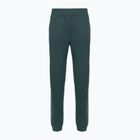 Pantaloni pentru femei The North Face Mountain Athletics Fleece deep cypress/space