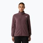 Bluză  pentru femei The North Face Glacier Fleece tawny quartz