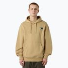 Bluză pentru bărbați The North Face Mountain Logo Relaxed Hooded khaki stone