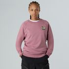 Bluză pentru femei The North Face Connect Relaxed Crew Graphic nostalgia rose