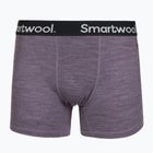 Boxeri termoactivi pentru bărbați Smartwool Merino Boxer Brief Boxed purple storm heather
