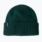 Căciulă de iarnă Patagonia Brodeo Beanie cascade green