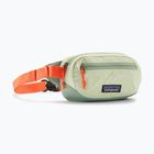 Borsetă Patagonia Terravia Mini Hip lichen green