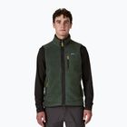 Vesta pentru bărbați Patagonia Retro Pile Fleece old growth green