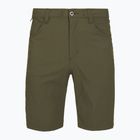 Pantaloni scurți de trekking pentru bărbați Patagonia Quandary Basin Green