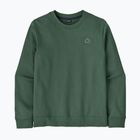 Bluză pentru bărbați Patagonia Fitz Roy Massif Daily Crew Canopy Green