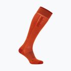 Șosete de schi pentru bărbați icebreaker Merino Ski+ Ultralight OTC fervid/agate