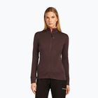 Bluză pentru femei icebreaker Merino 260 Quantum Zip java