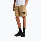Pantaloni scurți de trekking pentru bărbați The North Face Box Nse Light Regular Shorts khaki stone