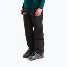 Pantaloni de schi pentru bărbați The North Face Chakal tnf black