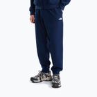 Pantaloni pentru bărbați The North Face Evolution Simple Dome Regular Joggers summit navy