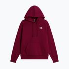 Bluză pentru femei The North Face Evolution Simple Dome Regular Hoodie burgundy crush