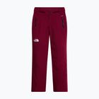 Pantaloni de schi pentru femei The North Face Lenado burgundy crush