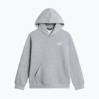 Bluză pentru copii The North Face Evolution Simple Dome Pullover Hood tnf pale grey heather