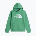Bluză pentru copii The Noryh Face Essential Drew Peak Hoodie dimmed algae