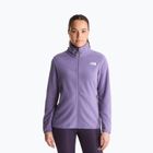 Bluză fleece pentru bărbați The North Face Glacier Fleece grounded plum