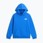 Bluză pentru copii The North Face Evolution Box NSE Pullover Hoodies active blue
