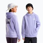 Bluză pentru copii The North Face Evolution Box NSE Pullover Hoodies pale plum