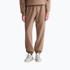Pantaloni pentru femei The North Face Evolution Simple Dome Regular garnet