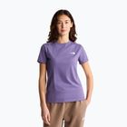 Tricou pentru femei The North Face Evolution Simple Dome Slim SS grounded plum
