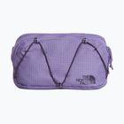 Borsetă The North Face Terra Lumbar 1 l grounded plum/endless