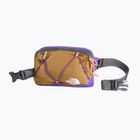 Borsetă The North Face Terra Lumbar 1 l utility brown/peak purple