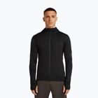 Bluză de trekking pentru bărbați Icebreaker Merino 300 Realfleece Descender Zip Hoodie black