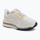Încălțăminte de alergare pentru femei Nike Pegasus Premium sail/alabaster/anthracite/white