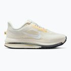 Încălțăminte de alergare pentru femei Nike Pegasus Premium sail/alabaster/anthracite/white
