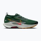 Încălțăminte de alergare pentru bărbați Nike Pegasus Trail 5 GORE-TEX fir/bright crimson/clay green