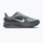 Încălțăminte de alergare pentru bărbați Nike Pegasus Premium wolf grey/cool grey/anthracite/sail