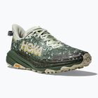 Încălțăminte de alergare pentru bărbați HOKA Speedgoat 6 GTX sea flass/fern