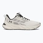 Încălțăminte de antrenament pentru bărbați Under Armour FLX TR summit white/black/black