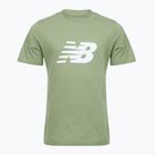 Tricou pentru bărbați New Balance Graphic V Flying oregano