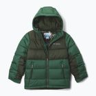 Geacă cu izolare pentru copii Columbia Pike Lake II Hooded rain forest/greenscape
