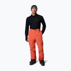 Pantaloni de schi pentru bărbați Columbia Cirque Bowl zing