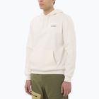 Bluză pentru bărbați Salomon Chest Logo Hoodie whisper white