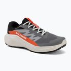Încălțăminte de alergare pentru bărbați Salomon Alphaglide GTX castlerock/lunar rock