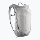 Rucsac de turism Salomon Trailblazer 10 l cloudburst/paloma/silver