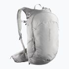 Rucsac de turism Salomon Trailblazer 20 l cloudburst/paloma/silver